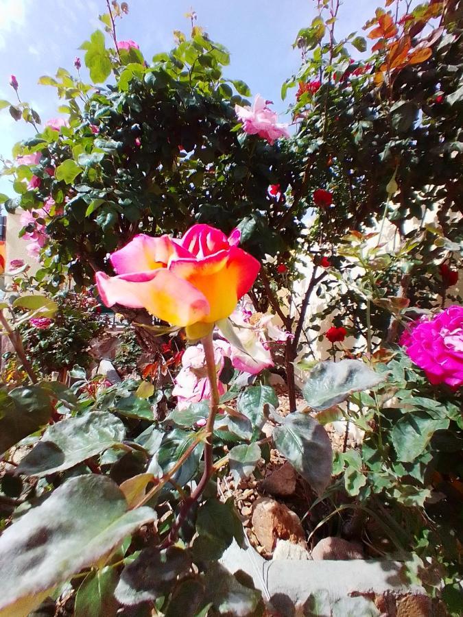 Las/Rosas Orgaz Eksteriør bilde